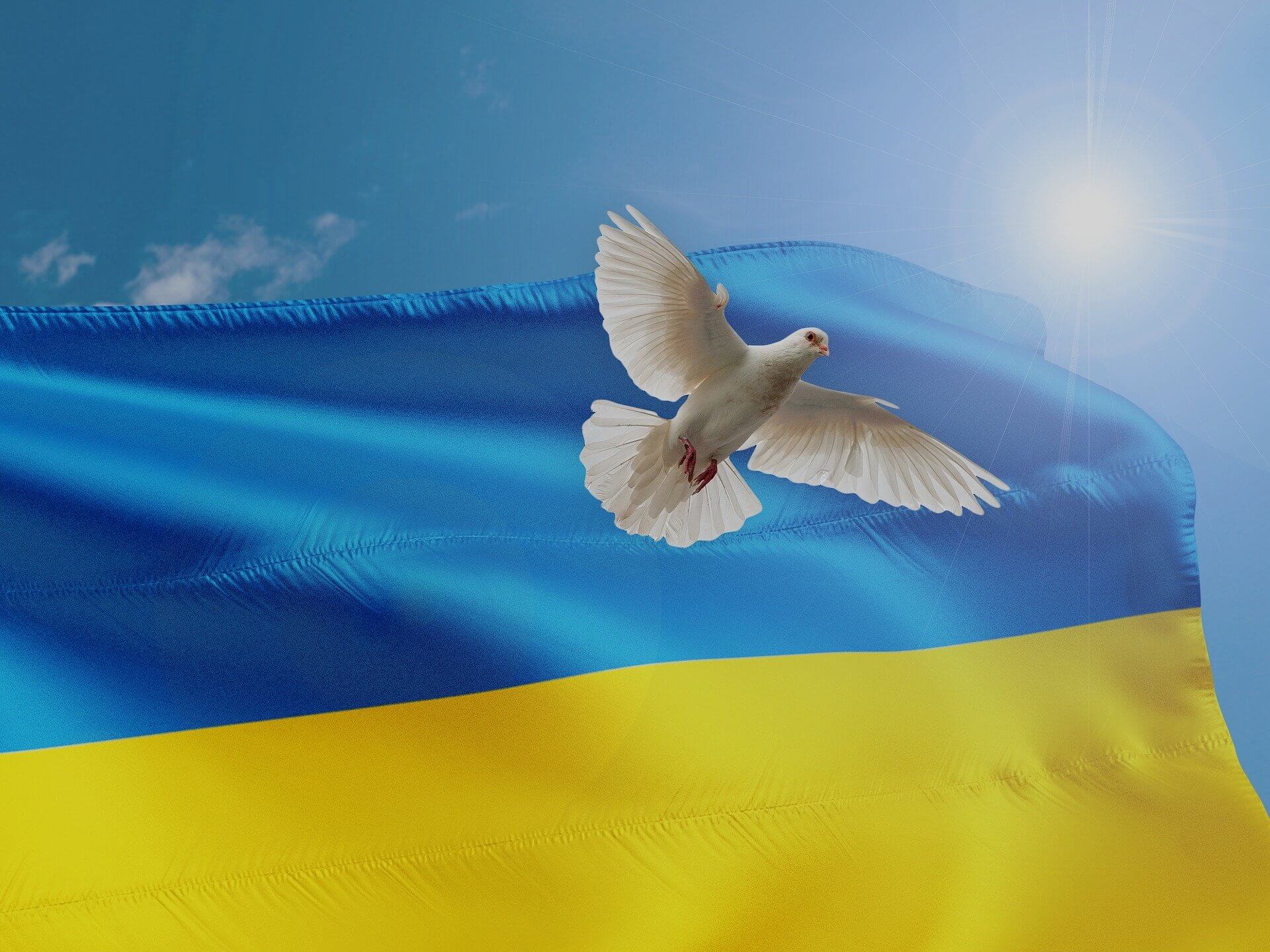 Ukraine crisis: Here is how you can help